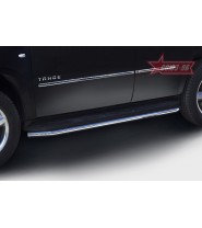 Защита штатного порога d60